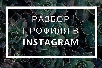 Разбор профиля Instagram