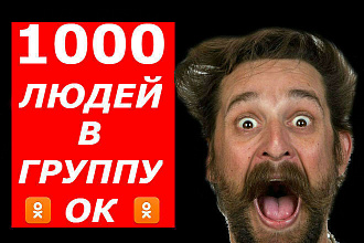 Добавлю 1000 подписчиков в группу, страницу в Одноклассниках + бонус