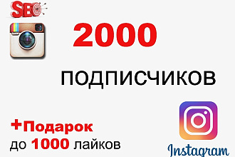 2000 подписчиков в Instagram. Только реальные люди