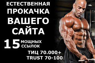 Естественная прокачка Вашего сайта. 15 мощных ссылок +