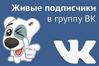 ВКонтакте 2000 подписчиков живые люди