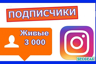 3000 Instagram Подписчиков на аккаунт в Инстаграм