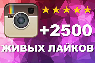 +2500 живых лайков на фото Instagram