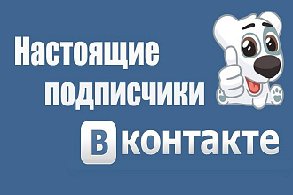 1200 живых, качественных подписчиков для ВКонтакте