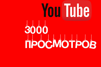 3000 живых просмотров YouTube