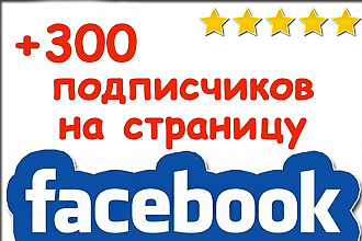 300 подписчиков на паблик FanPage, бизнес страницу Фейсбук