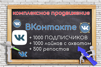 Комплексное продвижение группы Вконтакте. Подписчики