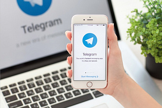 100 подписчиков на Ваш канал Telegram