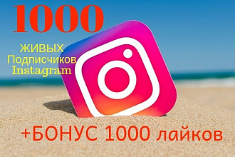 1000 подписчиков в instagram + 1000 лайков. Раскрутка и продвижение