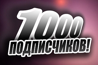 1000 подписчиков ВК + бонус 50 лайков на посты + 100 просмотров