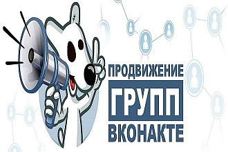 Добавлю 250 живых СНГ подписчиков в ВКонтакте
