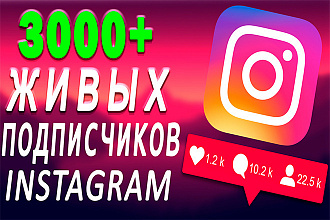 3000+ подписчиков в Instagram профиль. Качественно. С бонусом 10%