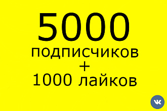 5000 подписчиков в группу ВКонтакте - раскрутка + 1000 лайков