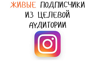 Привлечение подписчиков в instagram 1000 шт