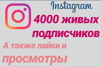 Живые подписчики, лайки просмотры