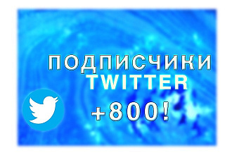 800 подписчиков в Twitter