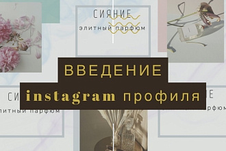 Введение instagram профиля