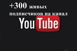 +300 живых подписчиков на YouTube