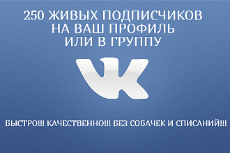 250 подписчиков - друзей Вконтакте на Ваш профиль и в группу