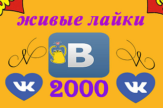 2000 Лайков на Ваш пост вконтакте