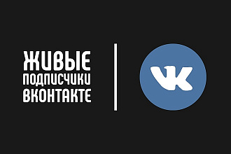 Реальные подписчики ВКонтакте, в городскую группу, 100 человек