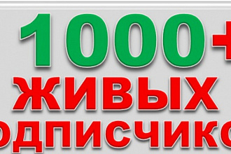 1000 реальных подписчиков + лайк