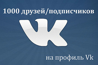 1000 друзей, подписчиков на профиль Vk