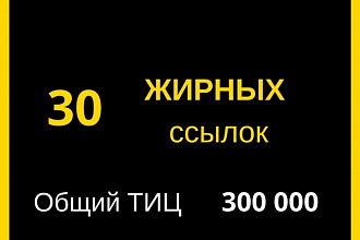 30 прямых жирных ссылок - ТИЦ 300 000 для выхода в ТОП выдачи