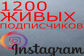 1200 живых подписчиков в Instagram