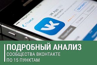 Подробный анализ группы ВКонтакте
