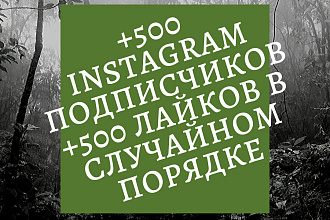 500 Instagram подписчиков +500 лайков в случайном порядке