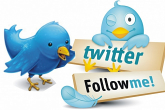 1700 подписчиков на твою синюю птицу. Аккаунт Twitter