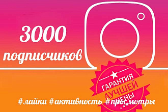 3000 подписчиков для Instagram