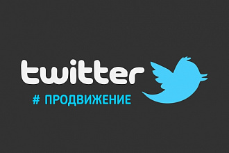1700 подписчиков в ваш аккаунт Twitter