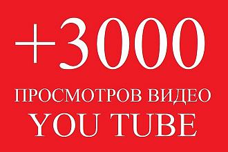 3000 просмотров You Tube