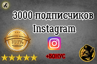 3000 подписчиков Instagram с гарантией