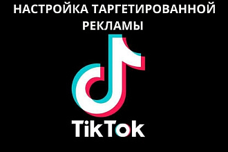 Таргетированная реклама в TikTok. Настройка, создание, ведение