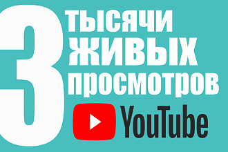 3000 реальных просмотров в Youtube