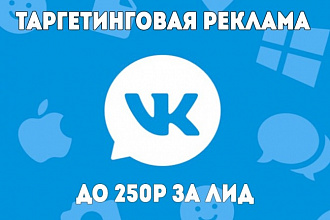 Настройка таргетинговой рекламы Вконтакте. Есть кейсы