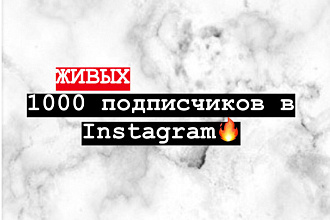 1000 живых подписчиков в Instagram