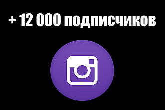 12000 качественных подписчиков в Instagram