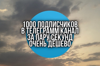 Накрутка 1000 подписчиков в Telegram канале