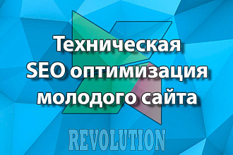 Техническая SEO оптимизация MODX Revolution молодого сайта