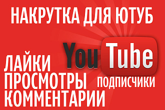 Добавлю 2000 подписчиков на ваш YouTube. Подписчики реальные люди