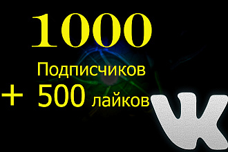 1000 подписчиков + 500 лайков