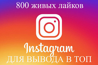 800 живых лайков в Instagram Высокий шанс попадания в ТОП
