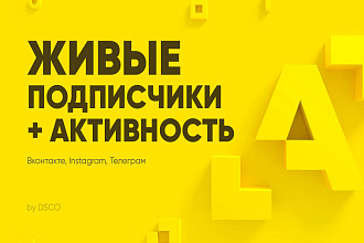 Живые подписчики инстаграм