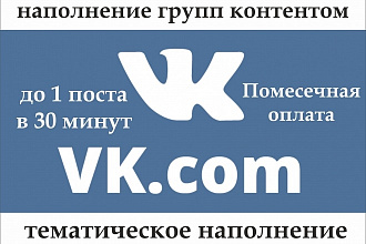 Посты в ВК по тематике до 1 в 30 минут