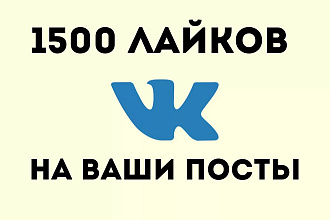 1500 лайков на записи, фотографии Вконтакте + бонус