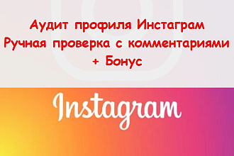 Аудит профиля Инстаграм цена 500 рублей - Ручная работа с отчетом
